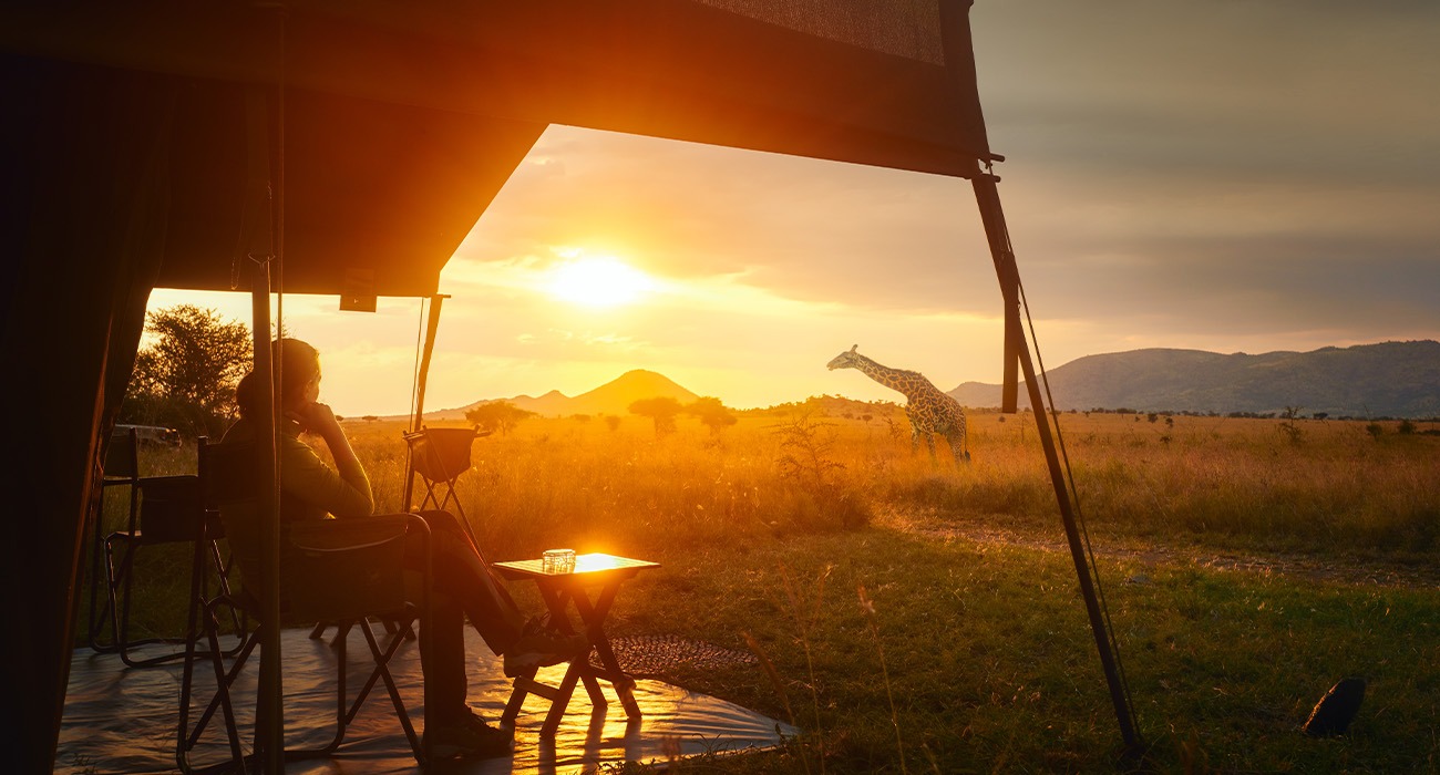Woman in cabin, Giraffe walking next to her
