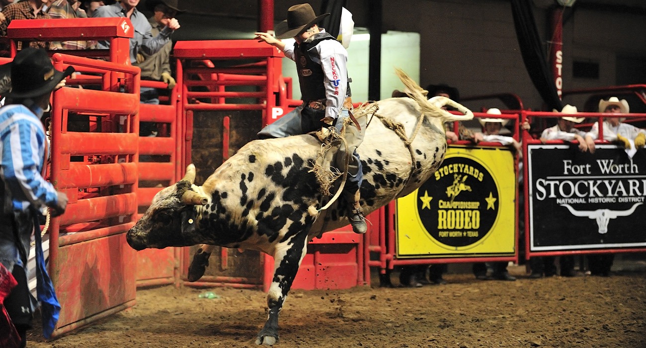 Man riding bull at Fort Worth Stockyards rodeo