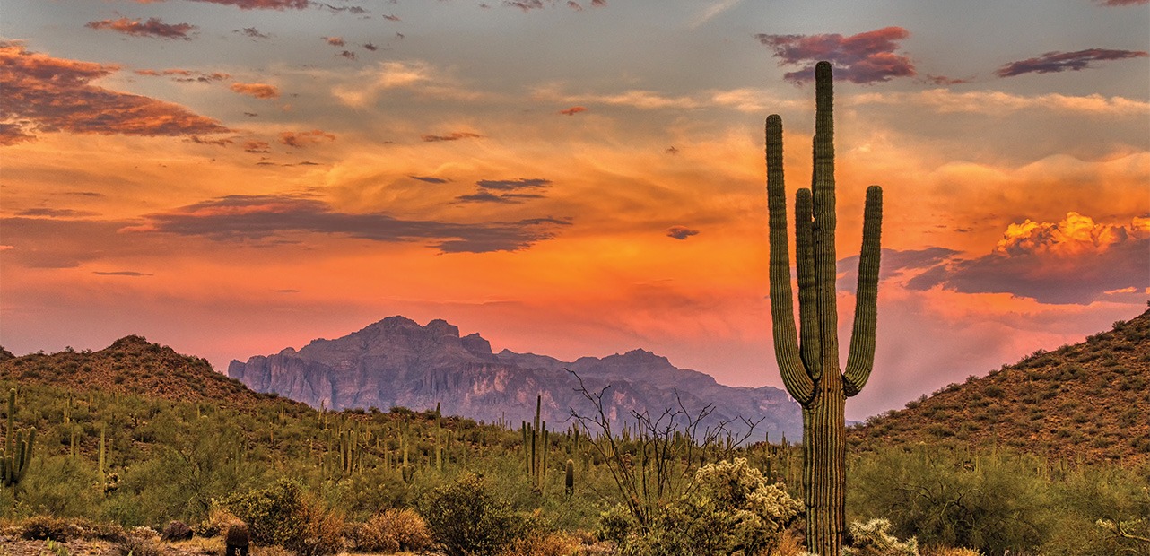 Sunset in the Sonoran Desert